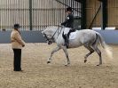 Image 14 in EAST ANGLIAN IBERIAN BREED SHOW 2016  