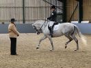 Image 14 in EAST ANGLIAN IBERIAN BREED SHOW 2016  