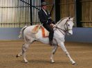 Image 140 in EAST ANGLIAN IBERIAN BREED SHOW 2016