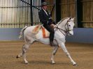 Image 140 in EAST ANGLIAN IBERIAN BREED SHOW 2016  