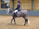 Image 142 in EAST ANGLIAN IBERIAN BREED SHOW 2016
