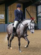 Image 145 in EAST ANGLIAN IBERIAN BREED SHOW 2016  