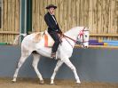 Image 152 in EAST ANGLIAN IBERIAN BREED SHOW 2016