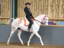 Image 152 in EAST ANGLIAN IBERIAN BREED SHOW 2016  