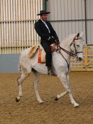 Image 155 in EAST ANGLIAN IBERIAN BREED SHOW 2016  