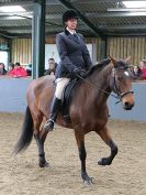 Image 158 in EAST ANGLIAN IBERIAN BREED SHOW 2016