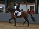 Image 16 in EAST ANGLIAN IBERIAN BREED SHOW 2016  