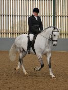 Image 160 in EAST ANGLIAN IBERIAN BREED SHOW 2016