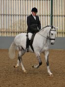 Image 160 in EAST ANGLIAN IBERIAN BREED SHOW 2016  