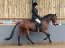 Image 163 in EAST ANGLIAN IBERIAN BREED SHOW 2016  