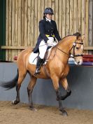 Image 165 in EAST ANGLIAN IBERIAN BREED SHOW 2016