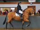 Image 166 in EAST ANGLIAN IBERIAN BREED SHOW 2016