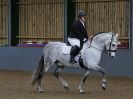 Image 177 in EAST ANGLIAN IBERIAN BREED SHOW 2016
