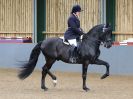 Image 178 in EAST ANGLIAN IBERIAN BREED SHOW 2016  