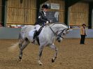 Image 179 in EAST ANGLIAN IBERIAN BREED SHOW 2016