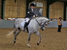 Image 179 in EAST ANGLIAN IBERIAN BREED SHOW 2016  