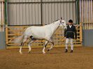 Image 184 in EAST ANGLIAN IBERIAN BREED SHOW 2016