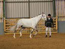 Image 184 in EAST ANGLIAN IBERIAN BREED SHOW 2016  