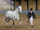 Image 185 in EAST ANGLIAN IBERIAN BREED SHOW 2016  