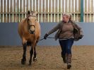 Image 186 in EAST ANGLIAN IBERIAN BREED SHOW 2016