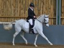 Image 195 in EAST ANGLIAN IBERIAN BREED SHOW 2016
