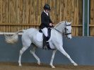 Image 195 in EAST ANGLIAN IBERIAN BREED SHOW 2016  