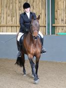 Image 206 in EAST ANGLIAN IBERIAN BREED SHOW 2016