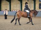 Image 213 in EAST ANGLIAN IBERIAN BREED SHOW 2016  