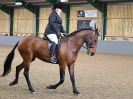 Image 214 in EAST ANGLIAN IBERIAN BREED SHOW 2016