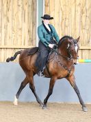 Image 218 in EAST ANGLIAN IBERIAN BREED SHOW 2016