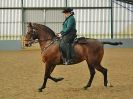 Image 220 in EAST ANGLIAN IBERIAN BREED SHOW 2016