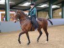 Image 221 in EAST ANGLIAN IBERIAN BREED SHOW 2016