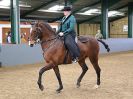 Image 221 in EAST ANGLIAN IBERIAN BREED SHOW 2016  