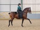 Image 223 in EAST ANGLIAN IBERIAN BREED SHOW 2016