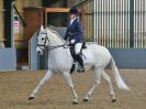 Image 229 in EAST ANGLIAN IBERIAN BREED SHOW 2016