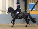 Image 23 in EAST ANGLIAN IBERIAN BREED SHOW 2016  