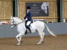Image 230 in EAST ANGLIAN IBERIAN BREED SHOW 2016