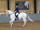 Image 230 in EAST ANGLIAN IBERIAN BREED SHOW 2016  