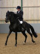 Image 24 in EAST ANGLIAN IBERIAN BREED SHOW 2016  