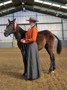 Image 246 in EAST ANGLIAN IBERIAN BREED SHOW 2016