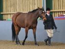 Image 248 in EAST ANGLIAN IBERIAN BREED SHOW 2016  