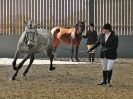 Image 250 in EAST ANGLIAN IBERIAN BREED SHOW 2016  