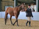 Image 254 in EAST ANGLIAN IBERIAN BREED SHOW 2016  