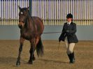 Image 258 in EAST ANGLIAN IBERIAN BREED SHOW 2016  