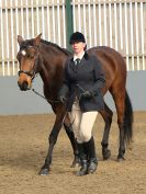 Image 262 in EAST ANGLIAN IBERIAN BREED SHOW 2016