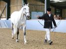 Image 264 in EAST ANGLIAN IBERIAN BREED SHOW 2016