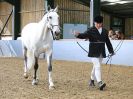 Image 264 in EAST ANGLIAN IBERIAN BREED SHOW 2016  