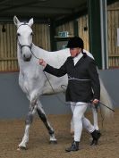 Image 267 in EAST ANGLIAN IBERIAN BREED SHOW 2016