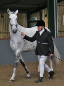 Image 267 in EAST ANGLIAN IBERIAN BREED SHOW 2016  