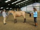 Image 279 in EAST ANGLIAN IBERIAN BREED SHOW 2016  